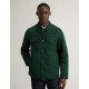 Dark holly green