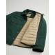 Dark holly green